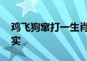 鸡飞狗窜打一生肖代表什么生肖,精选解释落实