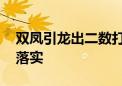 双凤引龙出二数打一最佳生肖动物,精选解释落实