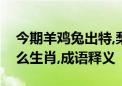 今期羊鸡兔出特,梨花落后二清明代表是打什么生肖,成语释义