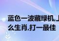 蓝色一波藏绿机,上期中奖一连八是指代表什么生肖,打一最佳