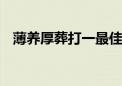 薄养厚葬打一最佳生肖动物,精选解释落实