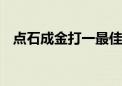 点石成金打一最佳生肖动物,精选解释落实