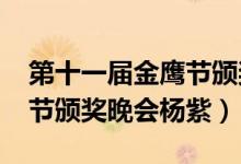 第十一届金鹰节颁奖晚会完整版（2020金鹰节颁奖晚会杨紫）