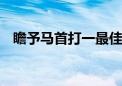 瞻予马首打一最佳生肖动物,精选解释落实