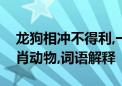 龙狗相冲不得利,一三全四中本期打一最佳生肖动物,词语解释