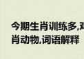 今期生肖训练多,鸡鸣狗盗是一春打一最佳生肖动物,词语解释