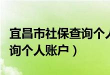 宜昌市社保查询个人账户金额（宜昌市社保查询个人账户）