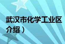 武汉市化学工业区（关于武汉市化学工业区的介绍）