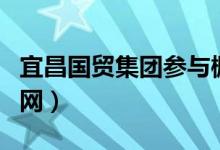 宜昌国贸集团参与棚改项目（宜昌国贸集团官网）