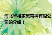 河北华裕家禽育种有限公司（关于河北华裕家禽育种有限公司的介绍）