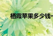 栖霞苹果多少钱一斤（栖霞苹果介绍）