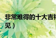 非常难得的十大吉祥手相（有通天纹的女人罕见）