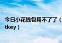 今日小花钱包用不了了（为什么我的小钱包打不开缺少clientkey）