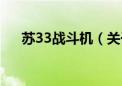 苏33战斗机（关于苏33战斗机的介绍）