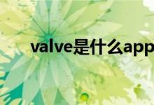 valve是什么app（valve是什么意思）