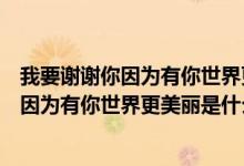 我要谢谢你因为有你世界更美丽是什么歌舞蹈（我要谢谢你因为有你世界更美丽是什么歌）