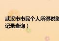 武汉市市民个人所得税缴费查询（个人所得税怎么查询缴费记录查询）