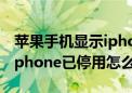 苹果手机显示iphone以停用（苹果手机显示iphone已停用怎么办）