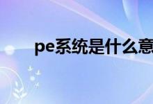 pe系统是什么意思（pe系统是什么）