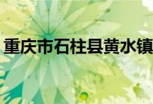 重庆市石柱县黄水镇有哪些可以避暑的景点？