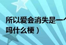 所以爱会消失是一个什么梗（所以爱会消失对吗什么梗）