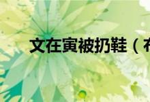 文在寅被扔鞋（布什被扔鞋记者现状）