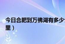 今日合肥到万佛湖有多少公里高速（合肥到万佛湖有多少公里）