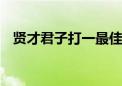 贤才君子打一最佳生肖动物,精选解释落实