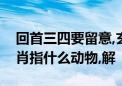 回首三四要留意,玄机中看三九合打一最佳生肖指什么动物,解