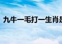 九牛一毛打一生肖是什么动物.精选解释落实