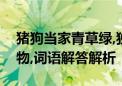 猪狗当家青草绿,独一无二火冲天打一生肖动物,词语解答解析