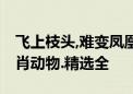 飞上枝头,难变凤凰,贵自内心不能装是什么生肖动物.精选全