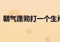 朝气蓬勃打一个生肖动物.刚刚全面解释落实