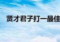 贤才君子打一最佳生肖动物,词语解释落实