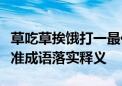 草吃草挨饿打一最佳生肖是指什么生肖最佳标准成语落实释义