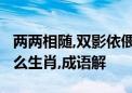 两两相随,双影依偎;相伴一路,岁月情催代表什么生肖,成语解