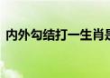 内外勾结打一生肖是什么动物.答案解释落实