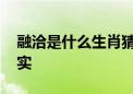 融洽是什么生肖猜一个生肖动物.详细解释落实