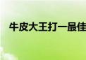 牛皮大王打一最佳生肖动物,精选解释落实