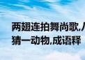 两翅连拍舞尚歌,八戒下凡农家客打一个生肖猜一动物,成语释