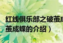 红线俱乐部之破茧成蝶（关于红线俱乐部之破茧成蝶的介绍）