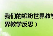 我们的缤纷世界教学反思（我们眼中的缤纷世界教学反思）