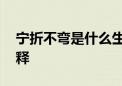 宁折不弯是什么生肖,猜打一词语落实释义解释