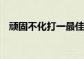 顽固不化打一最佳生肖动物,精选解释落实