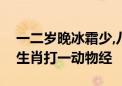 一二岁晚冰霜少,八九不分合吉三是什么动物生肖打一动物经