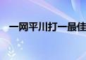 一网平川打一最佳生肖动物,精选解释落实