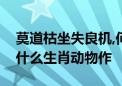 莫道枯坐失良机,何苦频擛逐名利打一生肖是什么生肖动物作