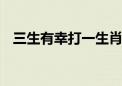 三生有幸打一生肖动物,释义最佳成语解释