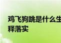 鸡飞狗跳是什么生肖打一个生肖动物.仔细解释落实