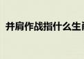 并肩作战指什么生肖最佳标准成语落实释义